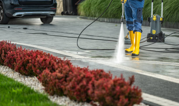Best Local Pressure Washing Services  in Shafter, CA