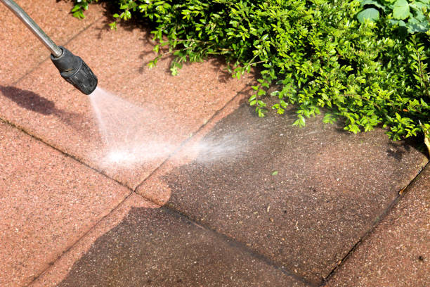 Best Deck Cleaning Services  in Shafter, CA